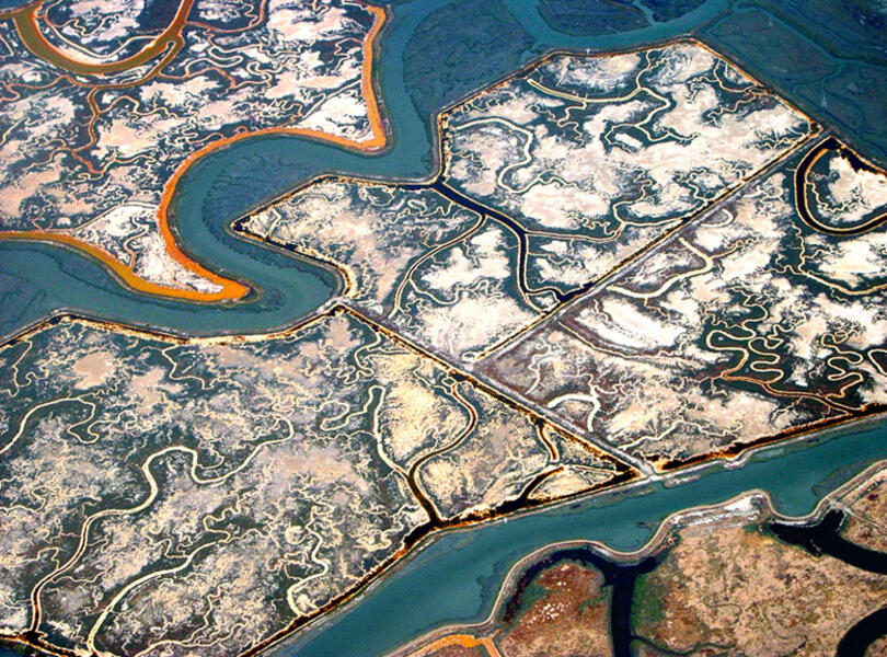 Redwood City, California