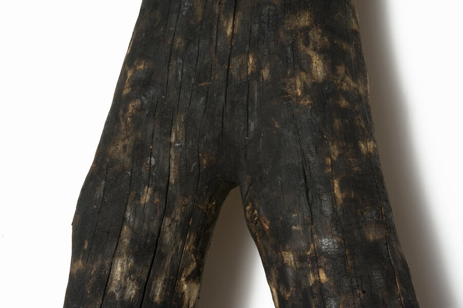 The Shroud (detail of burnt wood crotch)