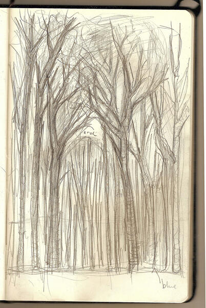 Trees forming an arch, Sketchbook page 