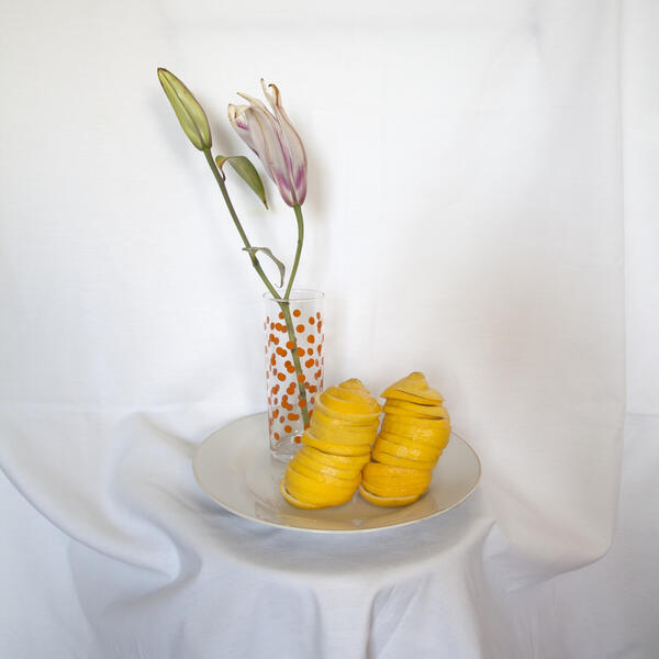 stilllife_lemons.jpg