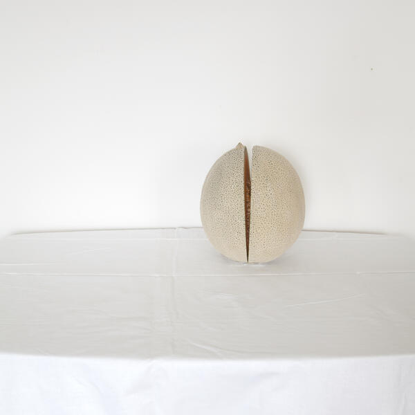 stilllifemelon.jpg