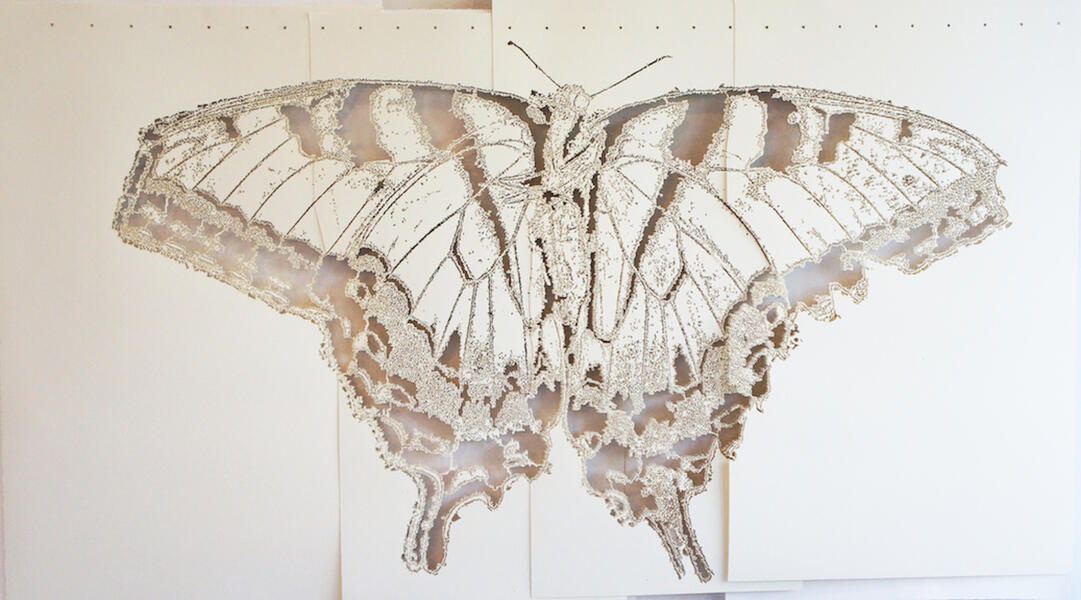 swallowtail1920.jpg