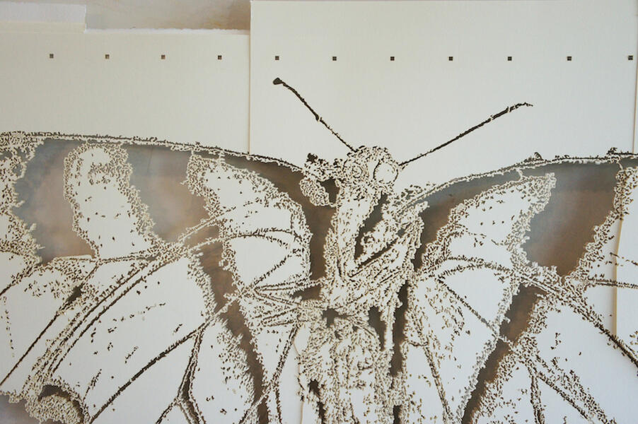 swallowtaildetail1920.jpg