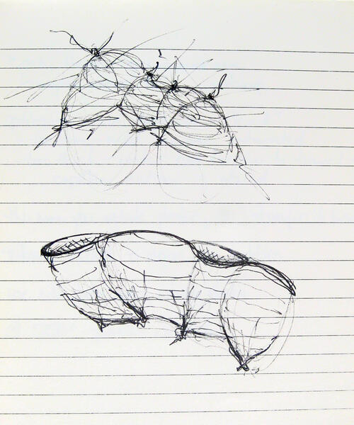 Sketch - Topographic Vessel