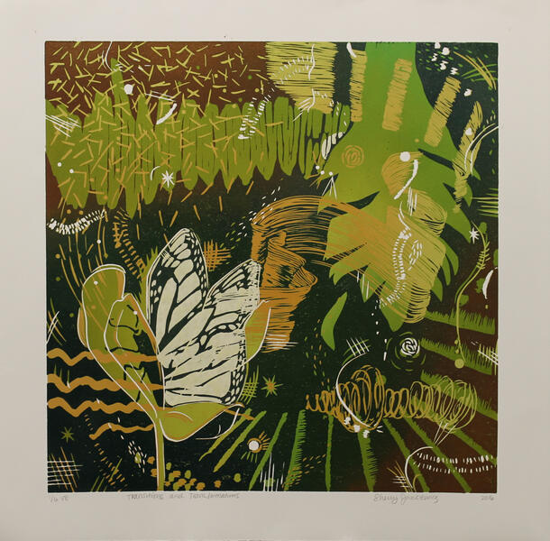 Transitions &amp; Transformations1