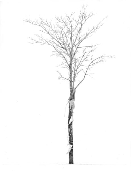 Tree with Flags