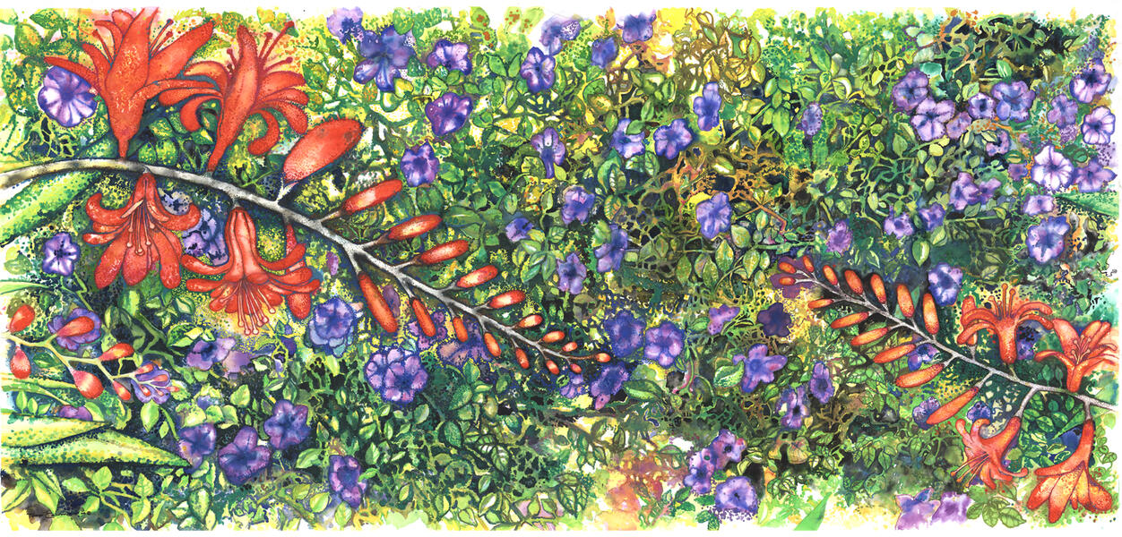watercolor-flower-study.jpg