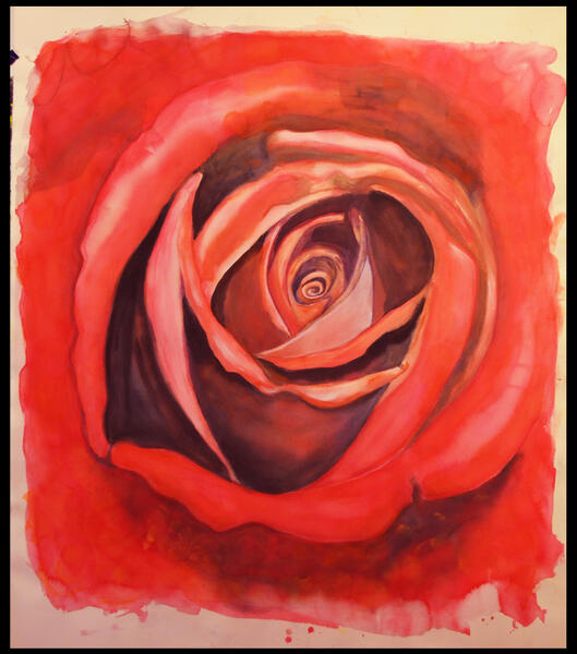 watercolor-rose-study.jpg