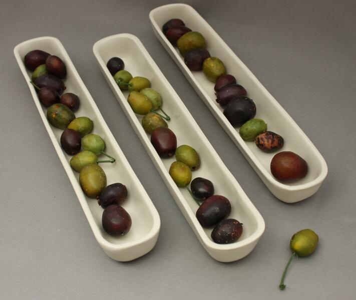 white-olive-trays.jpg