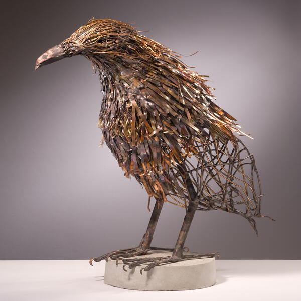 Raven-the Statesman....full view