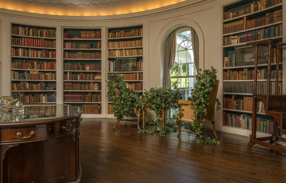 site-specific installation, ivy, Chippendale partners desk, sculpture