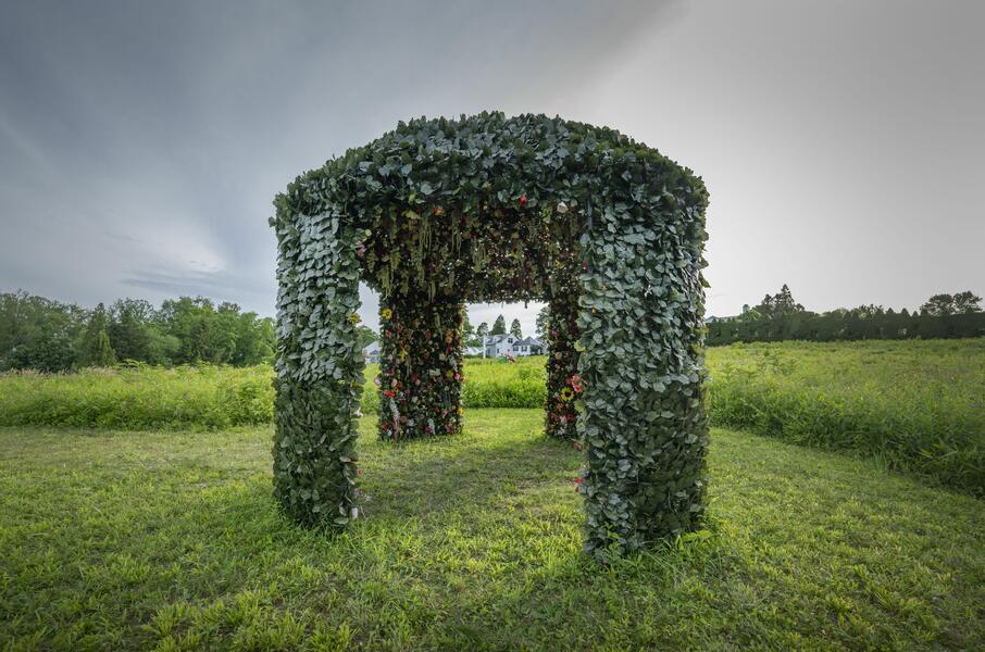 site-specific installation, ivy, oval library, topiary, sculpture