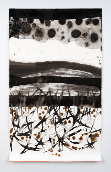 Magnolia Laurie ink drawing of a geological landscape.