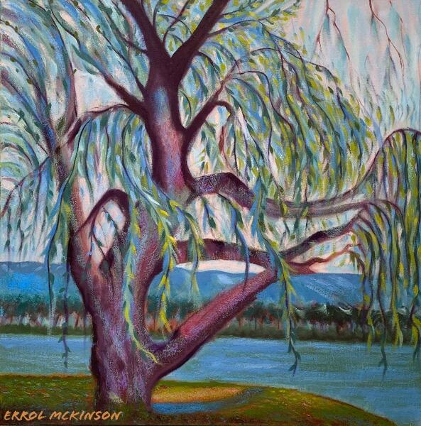 Weeping Willow X 