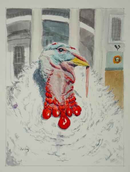 Pardoned White House Turkey