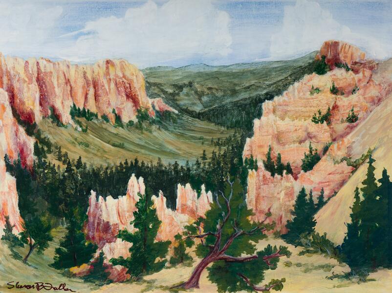 Pink and brown rock formations called hoodoos are seen in this section of Bryce Canyon National Park called Swamp Canyon. 