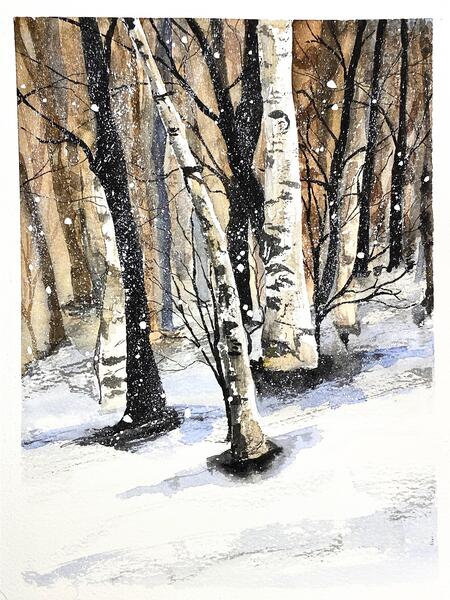 Birch Trees in Snowy Forest