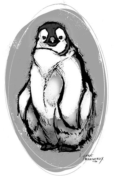 Baby Emperor Penguin 2019