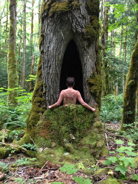 Nature Nurture I (photo)