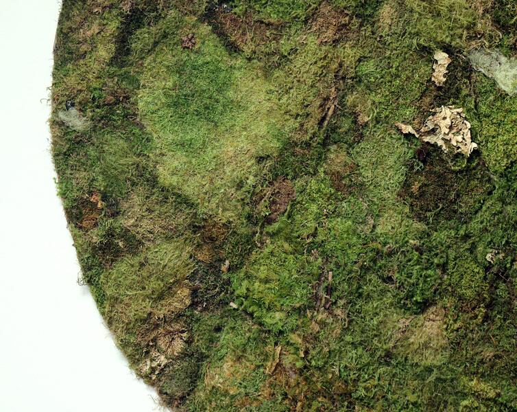 Nature Nurture (blanket) (detail)