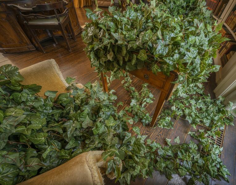 site-specific installation, contemporary art, sculpture, environment, landscape, architecture, ivy, Ladew Topiary Gardens, Oval Library, Laura Amussen