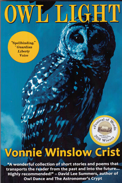 Owl Light by Vonnie Winslow Crist.