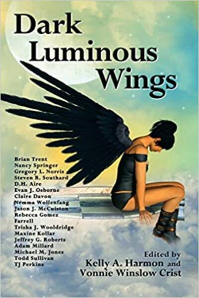 "Dark Luminous Wings" edited by Vonnie Winslow Crist and Kelly Harmon.