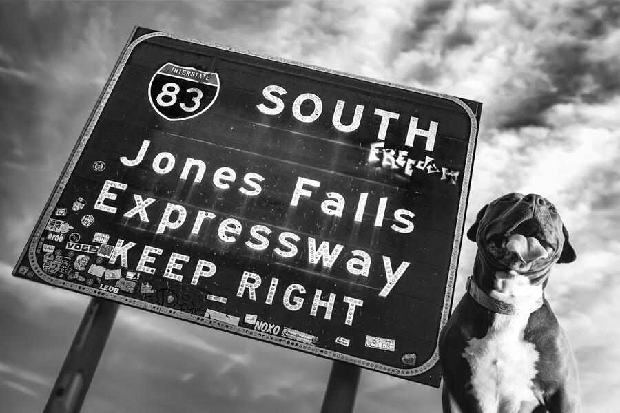 a grinning dog next to a road sign for i83
