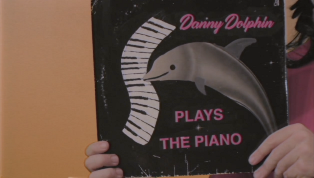 Danny Dolphin Plays the Piano