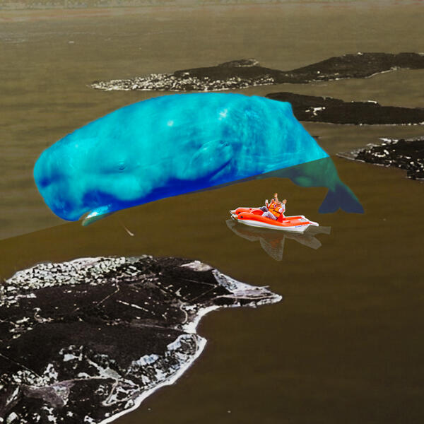 Dream Journal #6: A Whale Appears as I Kayak Between the Prince Islands