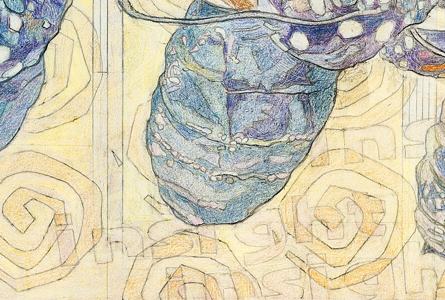 Detail 9: Closeup of Butterfly Abdomen with Background Words