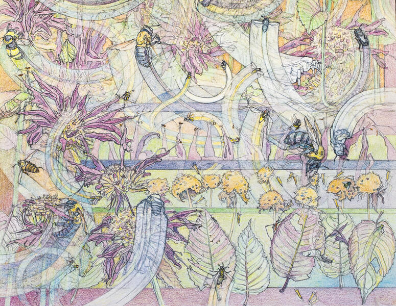 Detail 1 - Bees Swarming Monarda Flowers