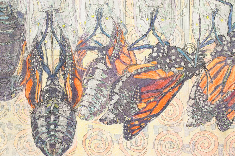Detail 8: Butterflies with Background Words