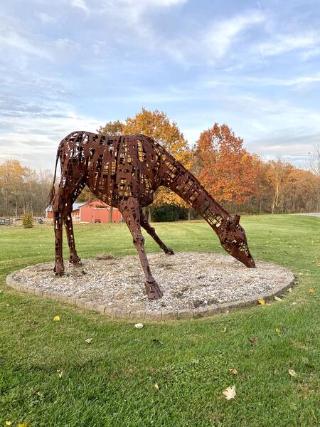 Steel giraffe