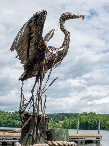 Great Blue Heron (side view)
