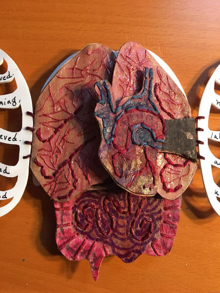Close-up of heart and lungs