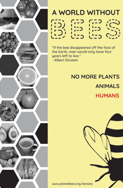 Endangered Bees Poster