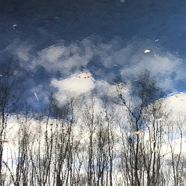 Lake Reflection 4