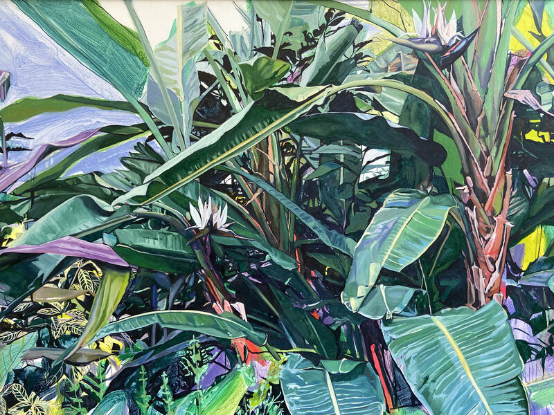 Jungle 2