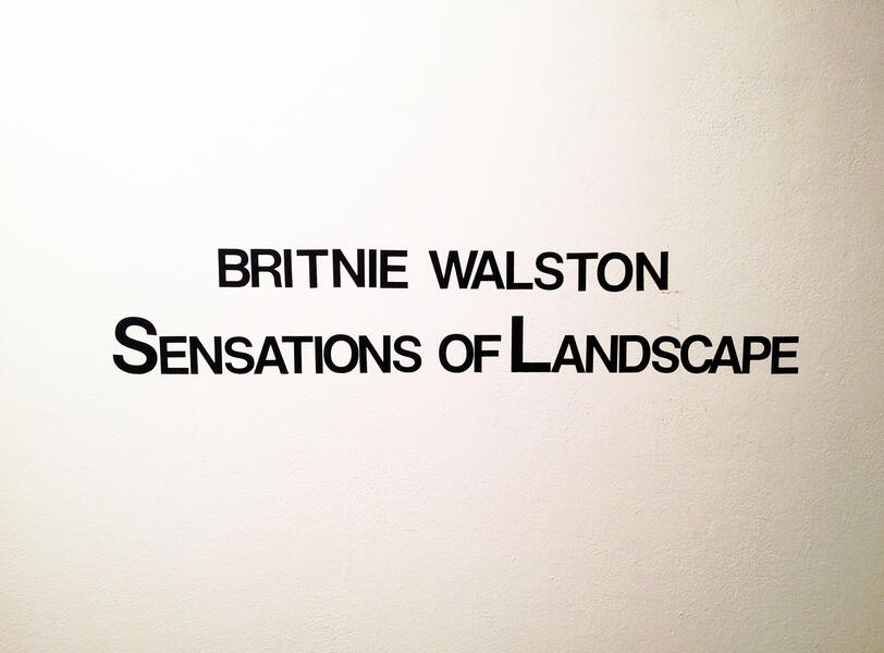 Senior Exhibition Sensations of Landscape2013
