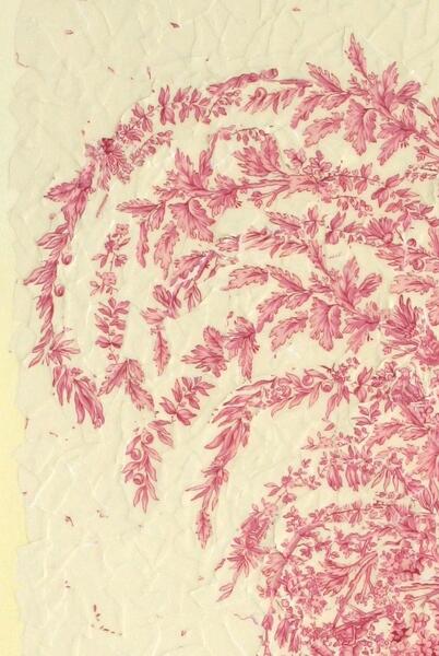 detail, Free Range