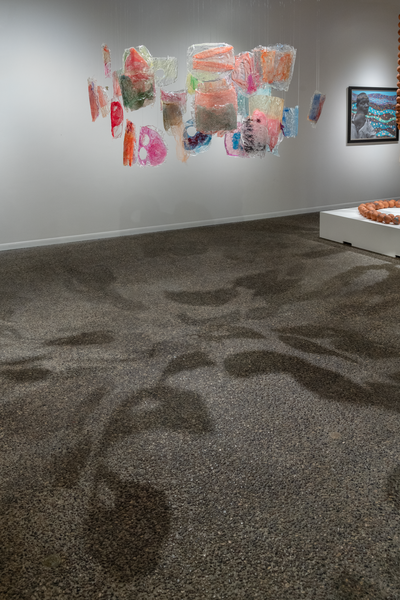 Installation view with floor shadows, Seeing Through Masks