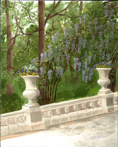 Wisteria Blooms at the Liriodendron.jpg