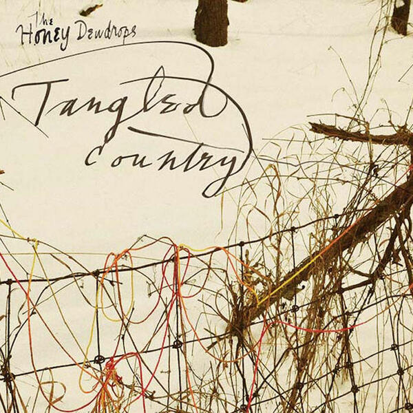Tangled Country Album Cover Art
