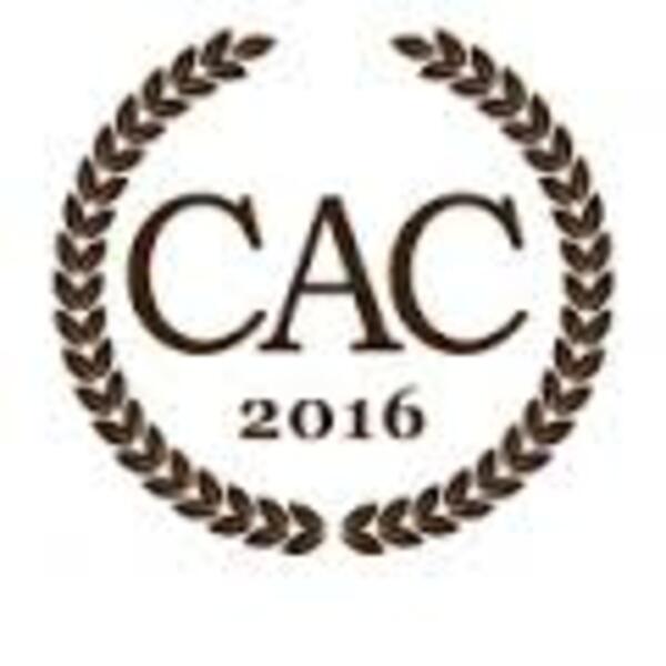 Winner, 2016 Somerset Awards