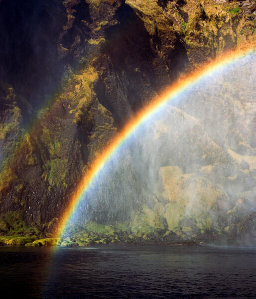 Icelandic Rainbow, 2022