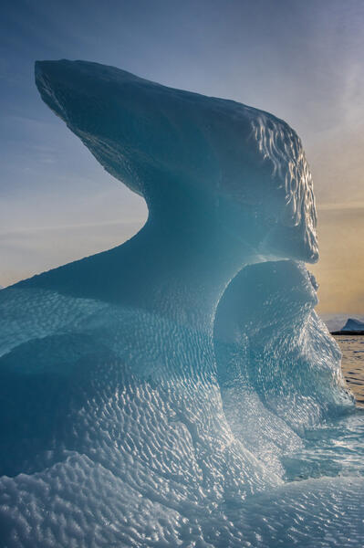 Ice Sphinx