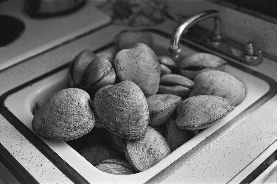 clams, kitchen