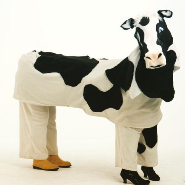 Martiqua The Cow