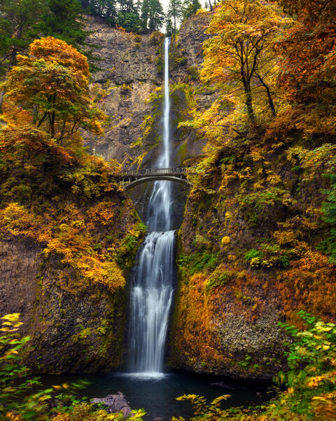 Autumn In Oregon